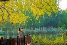 体彩怎么买足球比分-探秘体彩足球比分购买，策略、规则与理性参与指南