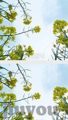 足球比分和直播-足球比分与直播，绿茵场上的数字交响曲